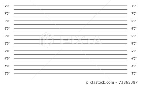 Mugshot background, police lineup for criminal wanted phot Mugshot background, police lineup for criminal wanted phot 73865387