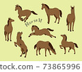 Various poses of the horse 73865996