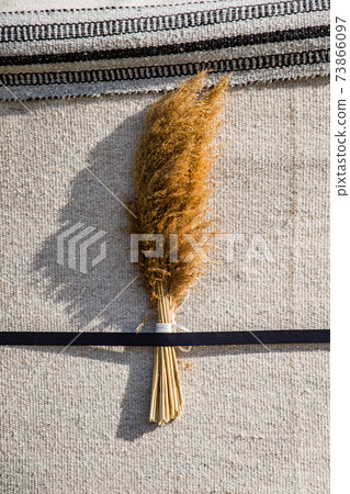 Broom, household, cleaning services, concept. Broom, household, cleaning services, concept. 73866097