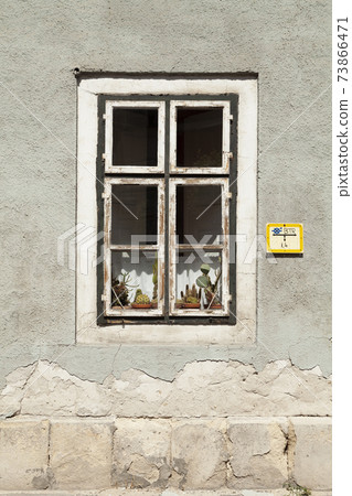 Old window with peeling paint reveals some small cacti inside, Budapest. 73866471