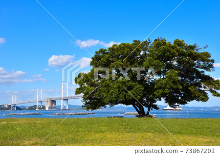 From Minami Bisan Seto Ohashi, Shamijima 73867201