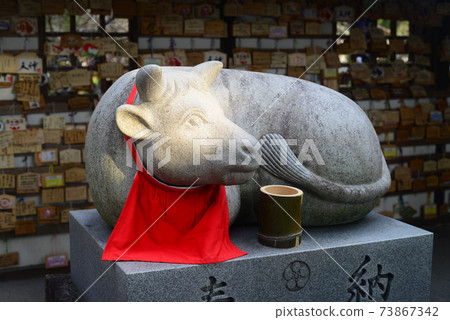 Jogutenmangu's stroked cow-5 Jogutenmangu's stroked cow-5 73867342