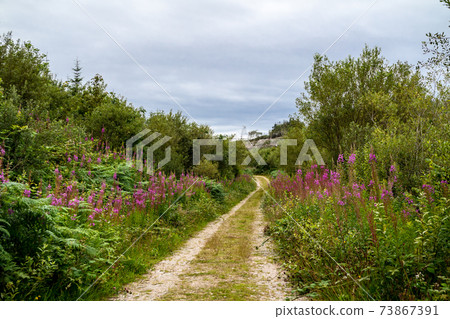 Path at Bonny Glen in County Donegal - Ireland. Path at Bonny Glen in County Donegal - Ireland. 73867391