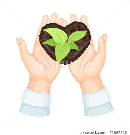Open Hands Holding Soil with Young Plant or Sprout Growing in It Above View Vector Illustration Open Hands Holding Soil with Young Plant or Sprout Growing in It Above View Vector Illustration 73867518