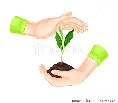 Careful Hands Holding Handful of Soil with Young Shoot or Sprout Growing in It Vector Illustration Careful Hands Holding Handful of Soil with Young Shoot or Sprout Growing in It Vector Illustration 73867532