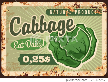 Farm green cabbage head rusty metal vector plate 73867757