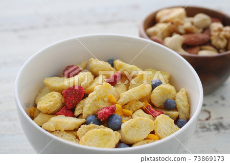 各種類型的穀物和格蘭諾拉麥片在盤子上 73869173