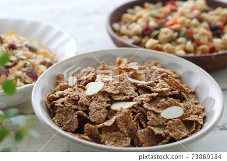 Various types of cereals and granola on a plate 73869184