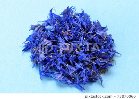 Cornflower (edible flower) Cornflower (edible flower) 73870060