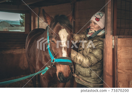 Caring for horses in the stables. combing hair with the help of brushing Caring for horses in the stables. combing hair with the help of brushing 73870200