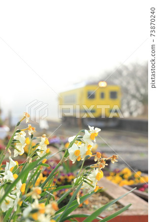 Isumi Railway Kuniyoshi Station "Back to the background of the daffodil flowers blooming on the platform and the train in the fog" 73870240