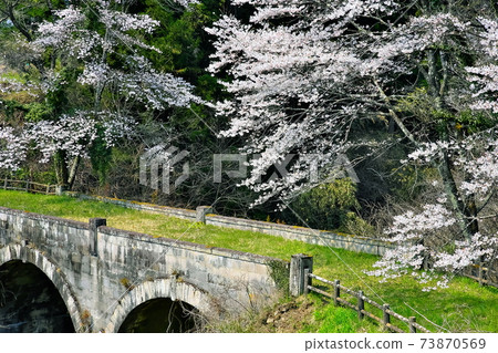 Ishibashi and Sakura Ishibashi and Sakura 73870569