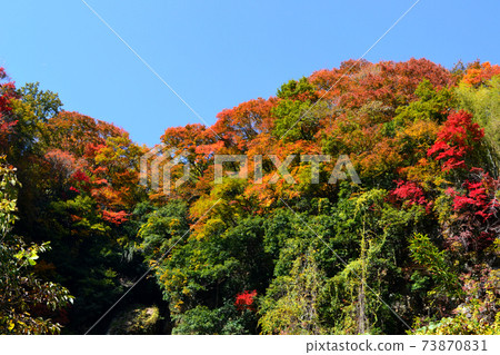 大分縣著名的秋葉景點，日向谷，白水瀑布 73870831