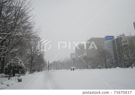 冬天沒有大雪節就在大通公園下雪(西8丁目) 冬天沒有大雪節就在大通公園下雪(西8丁目) 73870837