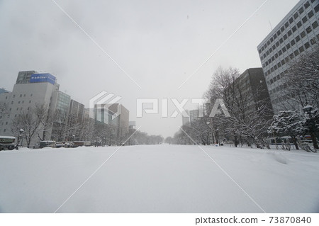 It snows in Odori Park in winter without a snow festival (Nishi 7-chome) 73870840