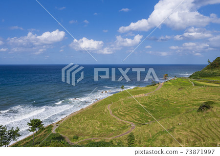 [Ishikawa Prefecture] Noto no Satoyama Satoumi Shiroyone Senmaida 73871997