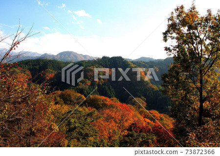 大分縣紅葉著名景點之一的幽谷谷（幽谷谷天文台） 73872366