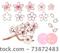 Handwritten cherry blossom set 73872483