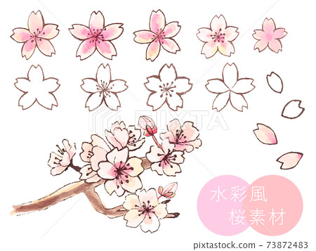 Handwritten cherry blossom set Handwritten cherry blossom set 73872483