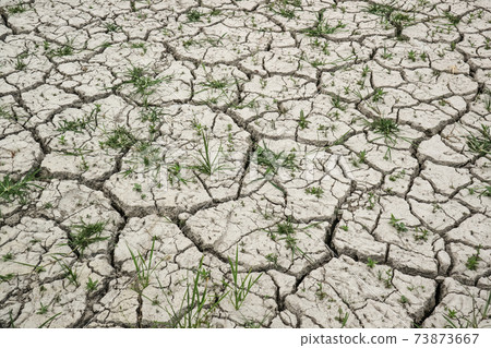 Closeup of dry soil with grass. Closeup of dry soil with grass. 73873667