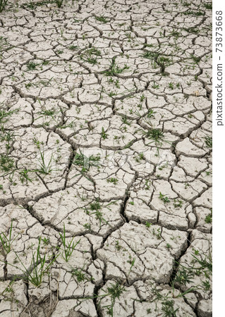 Closeup of dry soil with grass. Closeup of dry soil with grass. 73873668