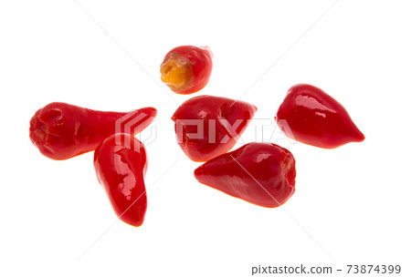 red chili pepper isolated red chili pepper isolated 73874399