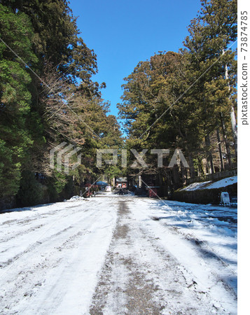 Nikko Toshogu Shrine Omotesando with snow Nikko Toshogu Shrine Omotesando with snow 73874785