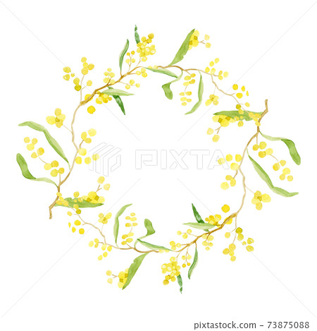 Watercolor illustration. Hello Spring. Mimosa wreath. Round frame. Isolated illustration on white background. Watercolor illustration. Hello Spring. Mimosa wreath. Round frame. Isolated illustration on white background. 73875088