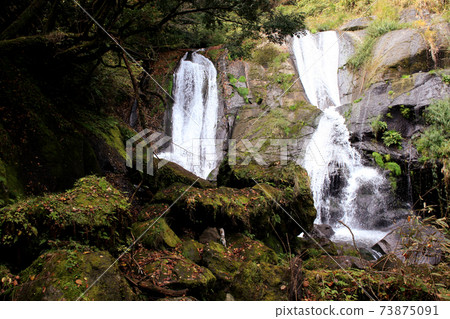 Oita's famous spot for autumn leaves, Hinata Valley, Shiramizu Waterfall Oita's famous spot for autumn leaves, Hinata Valley, Shiramizu Waterfall 73875091