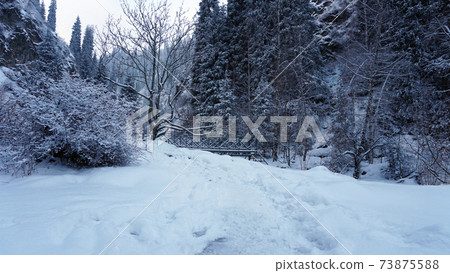 Mountain forest is completely covered with snow. Mountain forest is completely covered with snow. 73875588