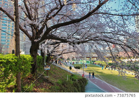 Spring of Oncheoncheon Citizens Park , Busan, South Korea, Asia Spring of Oncheoncheon Citizens Park , Busan, South Korea, Asia 73875765