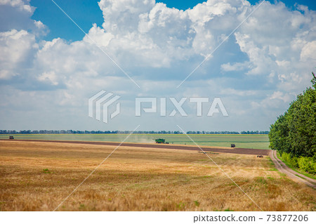 Harvester in the field harvest. Rural landscape of sky and field. Harvester in the field harvest. Rural landscape of sky and field. 73877206