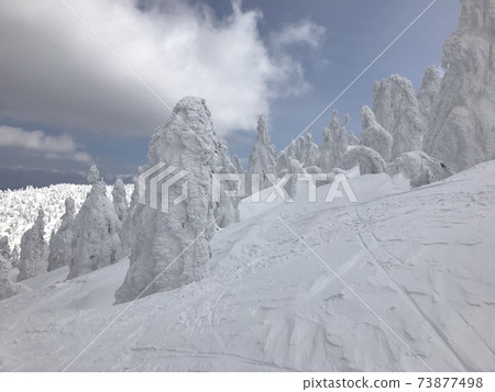 Forest course at Hakkoda Ropeway Ski Resort in winter Forest course at Hakkoda Ropeway Ski Resort in winter 73877498