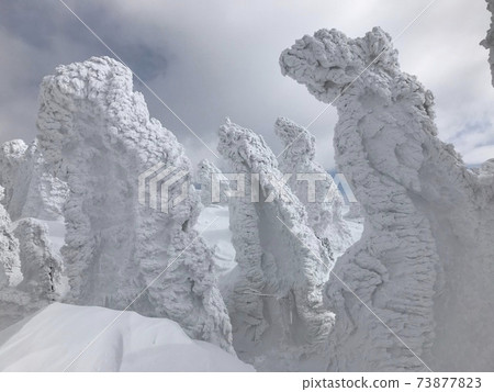 Hakkoda mountain snow monster in winter 73877823