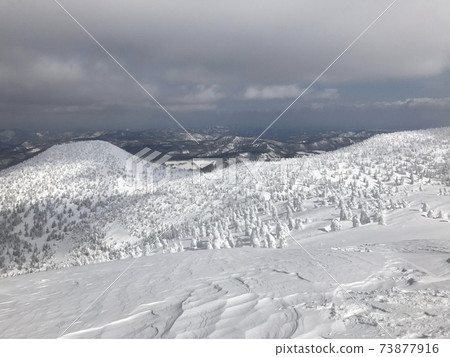 Forest course at Hakkoda Ropeway Ski Resort in winter 73877916