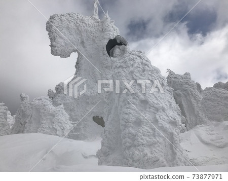 Hakkoda mountain snow monster in winter 73877971