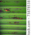 Behind the pedestrian bridge where the paint is peeling off 73878538