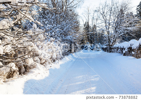 snowy country road between hedgerow in village 73878882
