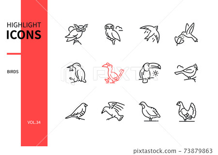 Bird species - line design style icons set 73879863