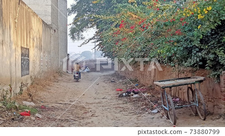 早上的路徑上的自行車 73880799