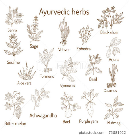 Ayurvedic herbs, natural botanical set 73881922