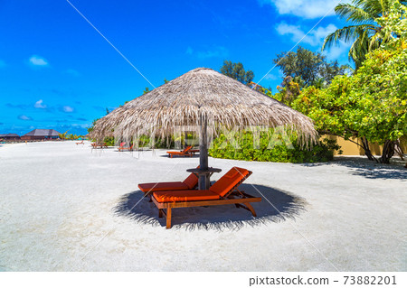 Sunbed and umbrella in the Maldives 73882201