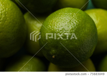 Fresh ripe lime on whole background, close up 73883849