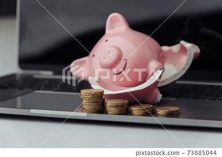 Broken piggy bank and stack of coins on a keyboard Broken piggy bank and stack of coins on a keyboard 73885044
