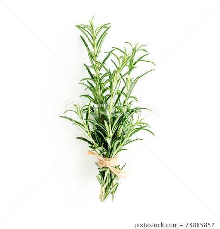 Green bundle of rosemary isolated on a white background. Herbs. Flat lay. Top view 73885852