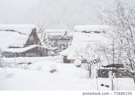 [Shirakawa-go] Walking in Gassho Village in winter scenery 73886150