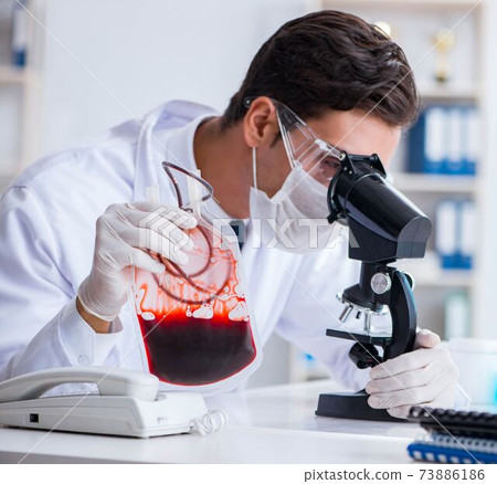 Doctor working with blood samples in hospital clinic lab Doctor working with blood samples in hospital clinic lab 73886186