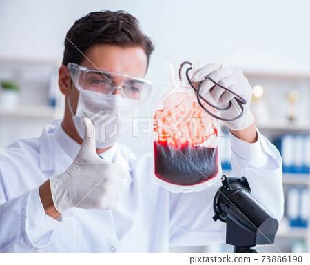 Doctor working with blood samples in hospital clinic lab 73886190