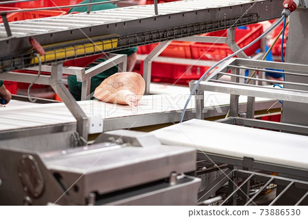 Production hall for cold cuts and meat products in a modern meat factory. Production hall for cold cuts and meat products in a modern meat factory. 73886530