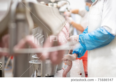 Sausage production line in modern meat factory. Sausage production line in modern meat factory. 73886547